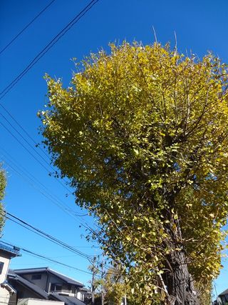DSC02119_R